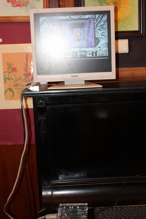 AmiWaWa2 104.JPG